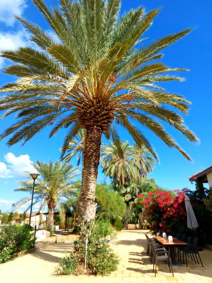 Golden Palms Guest House & Cafe Фамагуста Экстерьер фото