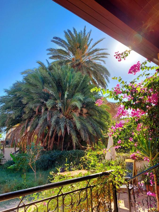 Golden Palms Guest House & Cafe Фамагуста Экстерьер фото